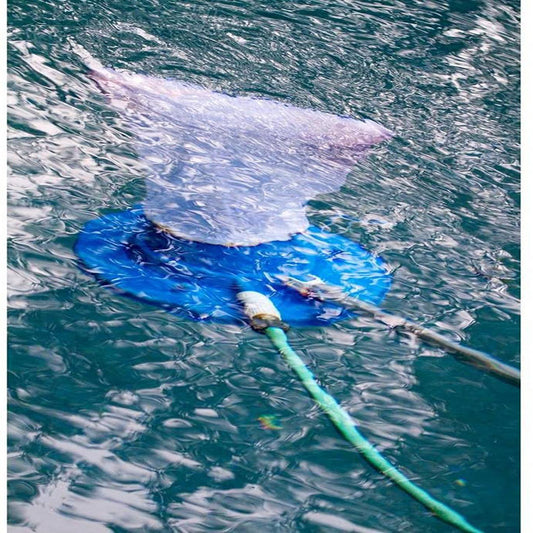 Swimming pool leaf and debris remover with venturi technology