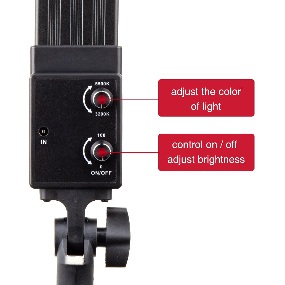 Professional studio lighting kit with 2 LED lights and stands for portrait photography.