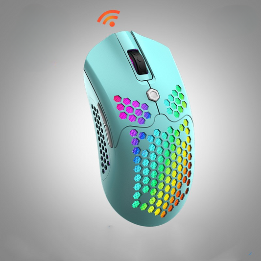 Wireless mouse with USB receiver and charging cable included.
