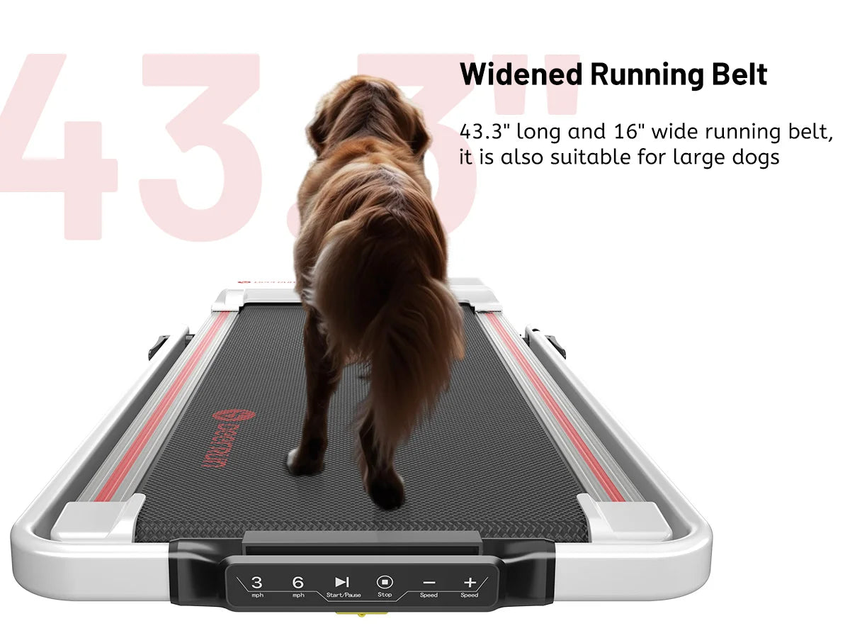 walking pad treadmill folded flat storage space saving bedroom.

